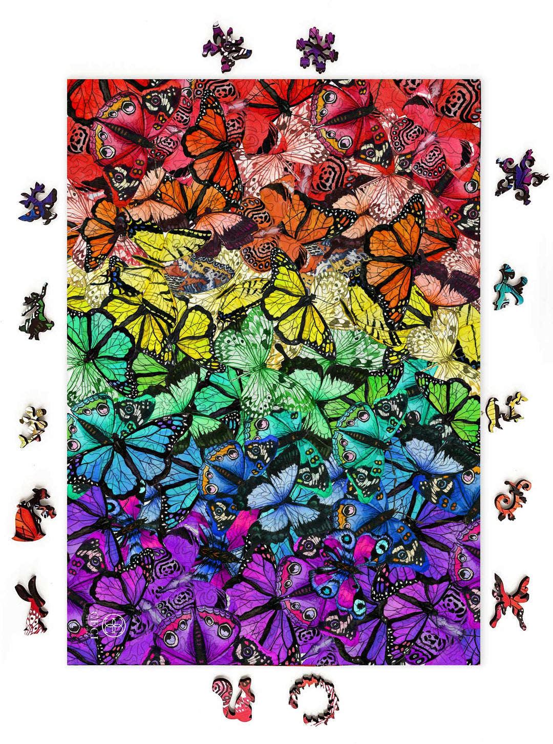 Rainbow Butterflies by Ceci New York